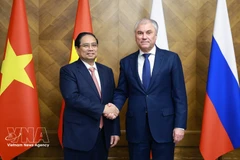 Vietnamese Prime Minister Pham Minh Chinh (L) meets with Chairman of the Russian State Duma Vyacheslav Volodin in Moscow on March 24. (Photo: VNA)
