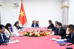 Vietnamese Prime Minister Pham Minh Chinh holds a telephone conversation with President of the United Arab Emirates (UAE) Sheikh Mohamed bin Zayed Al-Nahyan on March 9 evening. (Photo: VNA)
