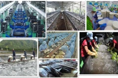 The private economic sector is the most important momentum of the national economy. (Photo: VNA)