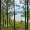 Gallery - Vong Canh hill: Romantic charm of Hue - image 3