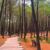 Gallery - Vong Canh hill: Romantic charm of Hue - image 6