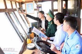 Quang Tri promotes sustainable fisheries to combat IUU fishing