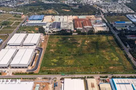Agricultural land use tax exemption is extended until December 31, 2030. (Photo: VNA)