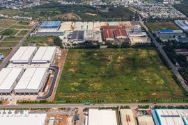 Agricultural land use tax exemption is extended until December 31, 2030. (Photo: VNA)