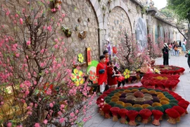 Vietnam is ringing in Tet (Traditional Lunar New Year) (Photo: VNA)