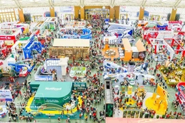 Spring Fair – Where Tet goods from across Vietnam come together