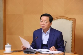 Deputy Prime Minister Tran Hong Ha at the meeting on February 17. (Photo: VNA)