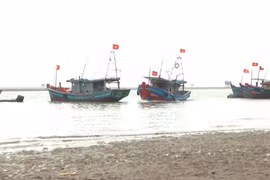 Ninh Binh strengthens aquatic resource protection