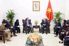 Deputy Prime Minister Nguyen Hoa Binh meets with Ambassador to Vietnam Iain Frew in Hanoi on February 26 (Photo: VNA)