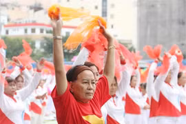 At least 50% of the elderly who wish to work will have jobs (Photo: VNA)