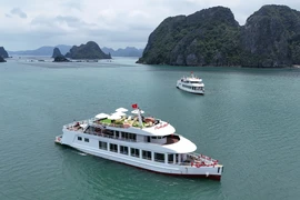 An overnight cruise ship developed by Everland Group for Bai Tu Long Bay. (Photo: VNA)