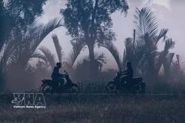 Early morning mist blankets Can Tho’s riverine countryside