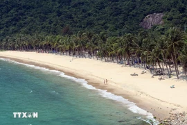 Central coastal Vietnam gains global spotlight