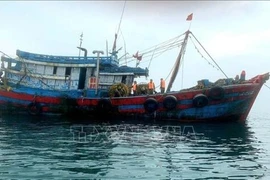 Can Tho launches the peak campaign against IUU fishing. (Photo: VNA)