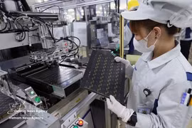 Business confidence in Vietnam rebounds strongly: UOB 