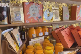 Vietnamese culture showcased in Paris