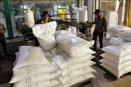 Rice exports of Vinh Phat Co., Ltd. in An Giang province. (Photo: VNA)