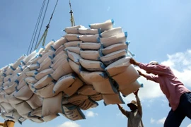 Vietnam’s exports surge, led by processing industries