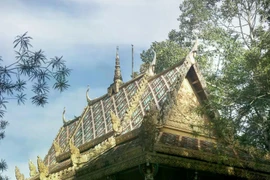 Mekong Delta Khmer communities embrace vitality