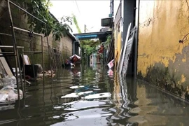 The 254 lane, Pham Chau Trinh street in Hue is heavily flooded dueto torrential rain (Photo: VNA)