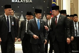 Malaysian Prime Minister Anwar Ibrahim (R) and Sultan of Brunei Haji Hassanal Bolkiah Mu'izzaddin Waddaulah. (Photo: Bernama)