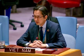 Ambassador Do Hung Viet, Permanent Representative of Vietnam to the United Nations, at the event (Photo: VNA)