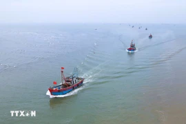 The offshore fishing fleet of the Ngoc Bich commune Fisheries Cooperative (Nghe An province) on its way to the river mouth. (Photo: VNA)