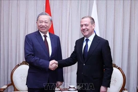 Party General Secretary To Lam (L) meets with Dmitry Medvedev, Chairman of the United Russia Party and Deputy Chairman of the Security Council of Russia, in Pyongyang on October 10. (Photo: VNA)