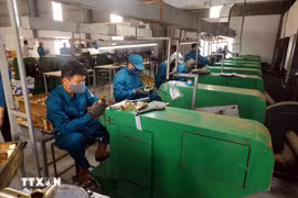 A production line at the TDV Vietnam Manufacturing and Trading Group Co., Ltd, located in the VSIP Nghe An Industrial Park. (Photo: VNA)