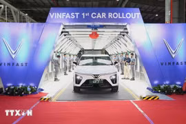 Electric vehicles produced at VinFast’s plant in India. (Photo: VNA)