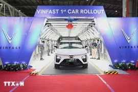 Electric vehicles produced at VinFast’s plant in India. (Photo: VNA)