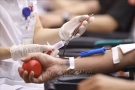People donate blood at the National Institute of Haematology and Blood Transfusion in response to the “Grateful Drops” campaign. (File photo: VNA)