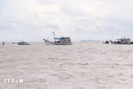 Dong Thap steps up efforts to lift IUU fishing