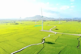 Dam Nai wind energy farm in Khanh Hoa province (Photo: VNA)