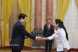 Vietnam eyes stronger ties with Cambodia, Saudi Arabia, Dominica