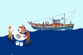 Urgent tasks to address IUU fishing