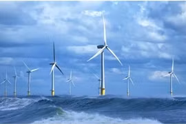 Businesses step up energy saving and transition efforts