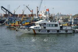 Competent forces patrol and inspect at Quy Nhon fishing port. (Photo: VNA)