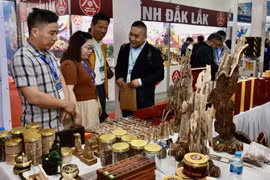 Visitors at the exhibition (Photo: VNA)