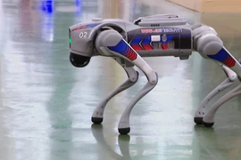 ‘Made-in-Vietnam’ robot dogs excite visitors at Autumn Fair