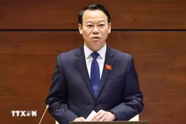 Do Duc Duy, member of the Party Central Committee, member of the Government Party Committee, Secretary of the Party Committee of the Ministry of Agriculture and Environment, and Agriculture and Environment Minister, violated Party regulations and State laws in performing assigned duties during his tenure as Deputy Secretary of the Yen Bai provincial Party Committee, Secretary of the Party Civil Affairs Board, and Chairman of the People's Committee of Yen Bai province (Photo: VNA)
