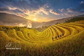 Ethnic cultural identity promoted amid integration 