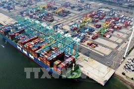 Bustling cargo scene at Tianjin Port, China (Photo: VNA)