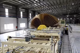 Wood processing. (Photo: VNA/VNS)