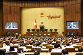 At a NA session (Photo: VNA)