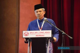 Malaysian Foreign Minister Datuk Seri Mohamad Hasan (Photo: Barnama)