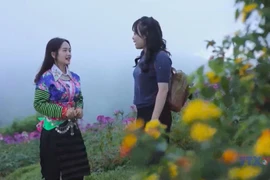 Dien Bien develops green tourism linked to cultural preservation