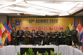 Military medical leaders from 10 ASEAN countries and Timor-Leste at the conference. (Photo: VNA)