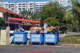 In 2024, Singapore’s overall recycling rate was 50%, down from the 52% overall recycling rate in 2023. (Photo: straitstimes)