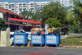 In 2024, Singapore’s overall recycling rate was 50%, down from the 52% overall recycling rate in 2023. (Photo: straitstimes)